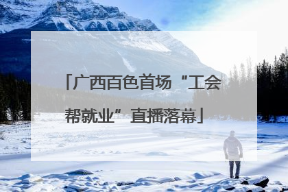 广西百色首场“工会帮就业”直播落幕